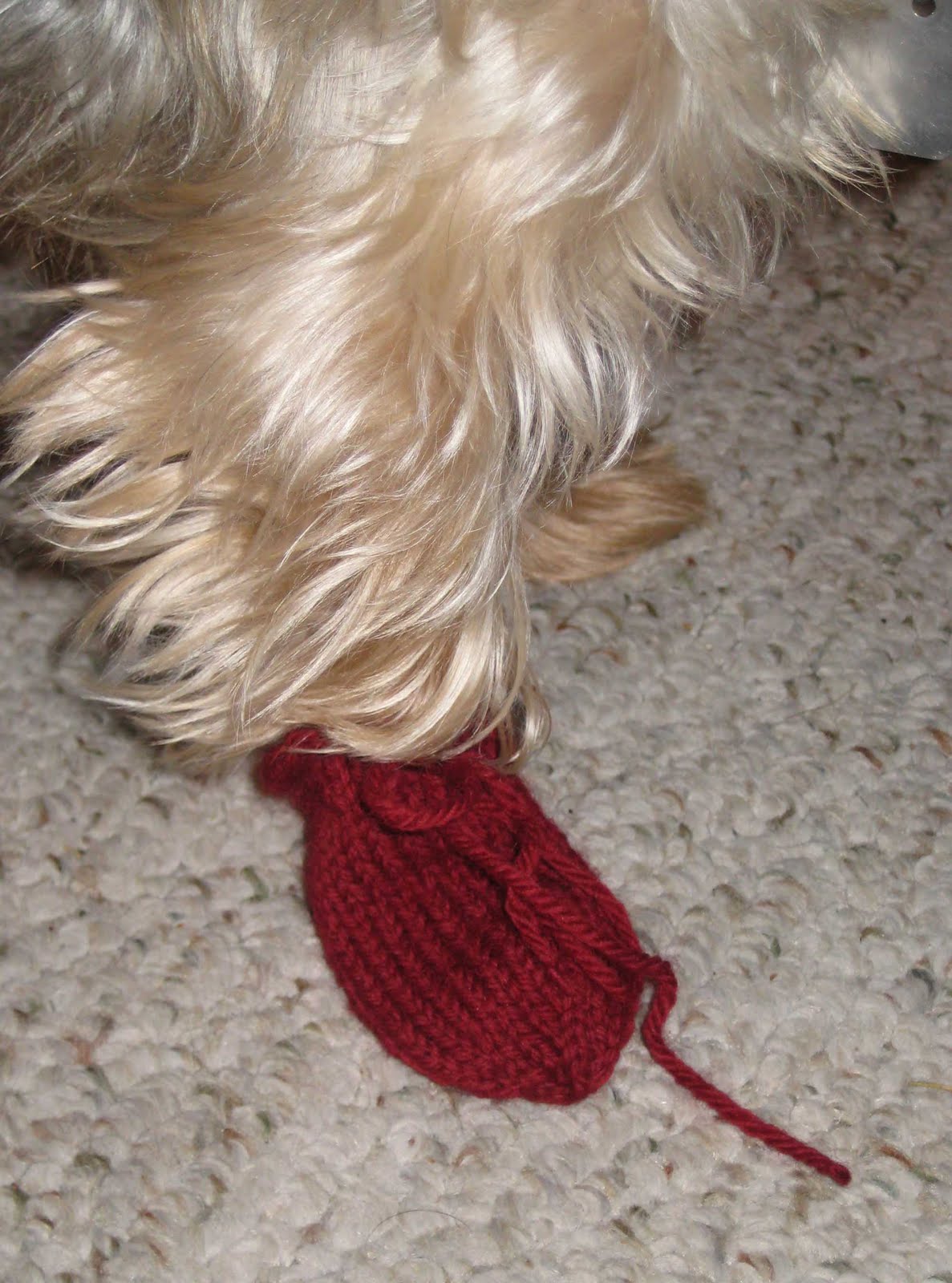 Knitted dog boots on sale